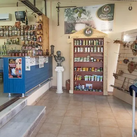 Plessas Lägenhet Tsilivi (Zakynthos)