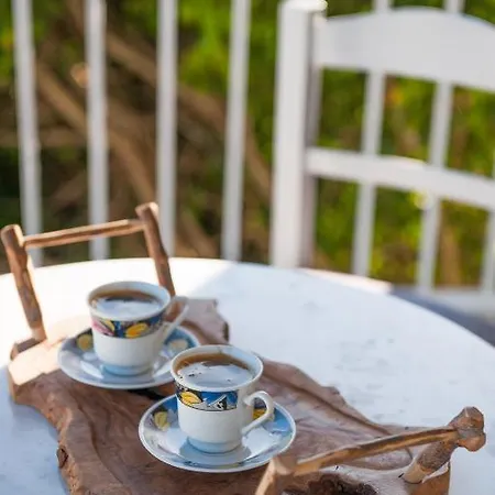 Plessas アパート チィリヴィ