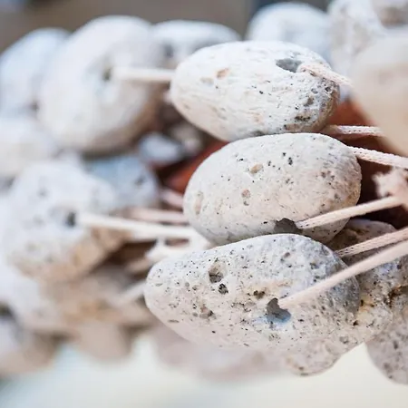 Plessas チィリヴィ