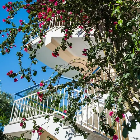 アパート Plessas